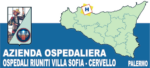 Logo AOOR villa Sofia Cervello